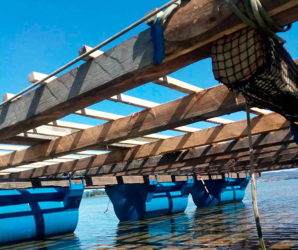 Construcción de bateas en Barbanza